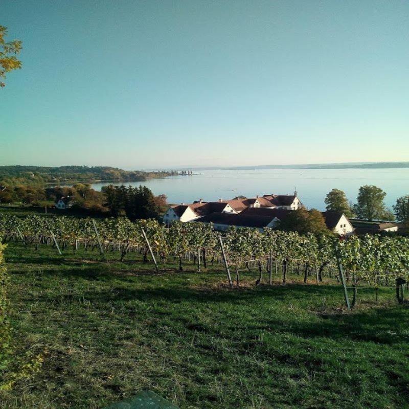 Ferienwohnung Am Bodensee Uhldingen-Mühlhofen Exterior foto